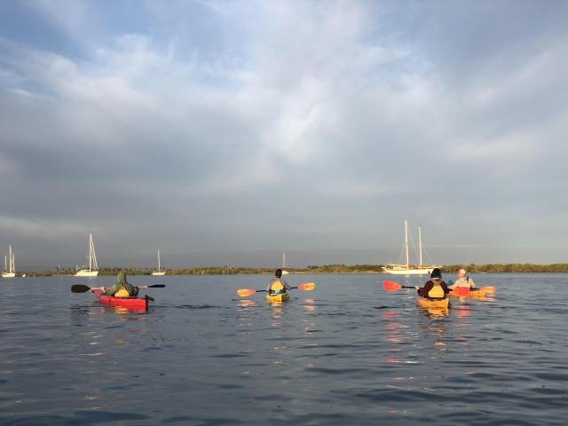 Visita guiada en Kayak Bahía La Paz