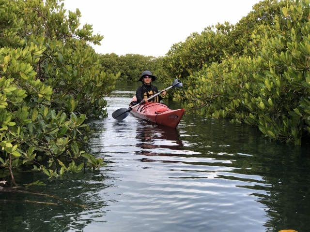 Paseo Kayak La Paz BCS