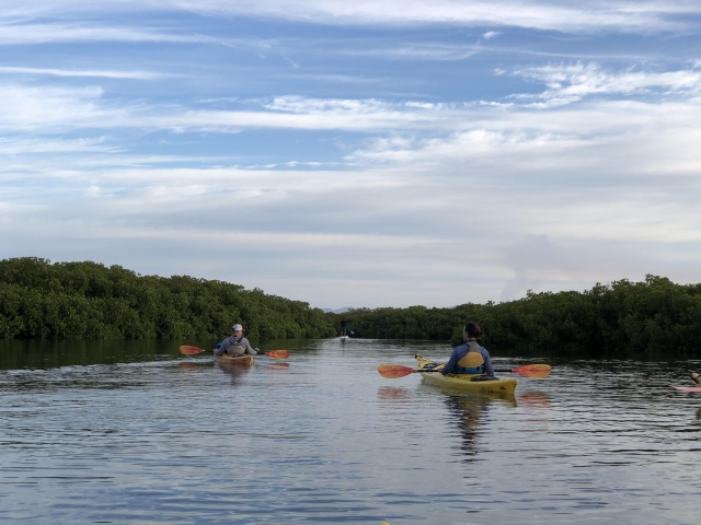 Visita guiada 3 horas kayak 