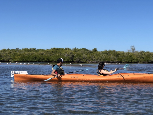 Kayak Bahía La Paz 3 horas 