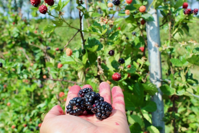 Cascacas Tixhiñu (19)