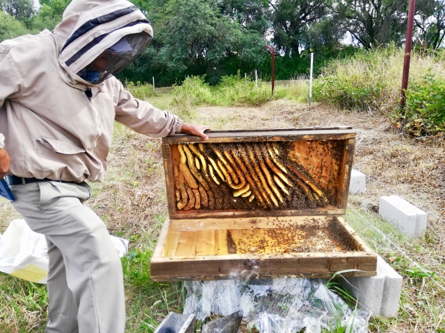 Cascacas Tixhiñu (8)