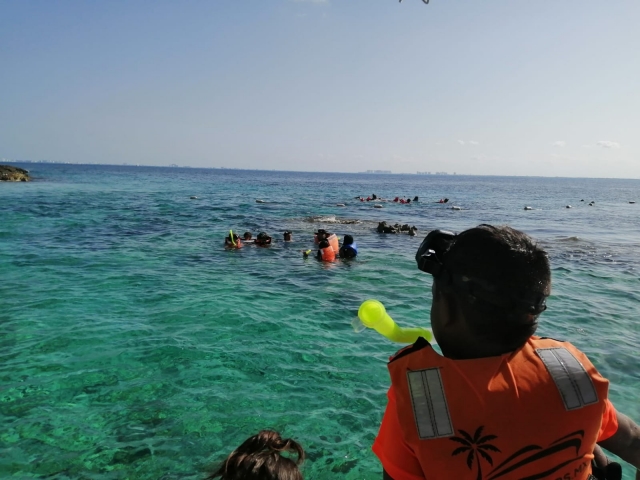 Nadando en isla