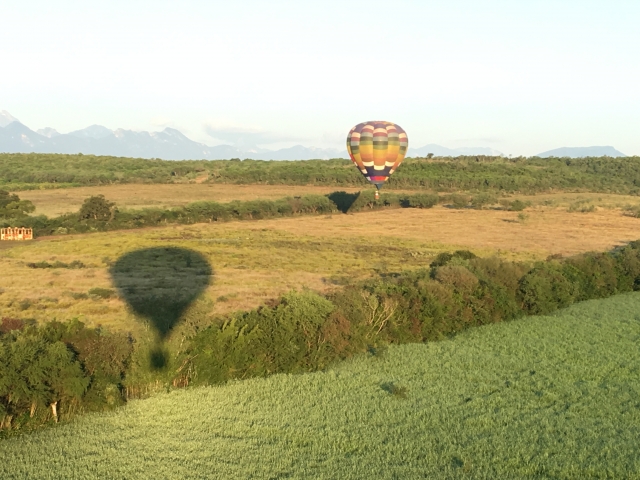 Globos en Montemorelos