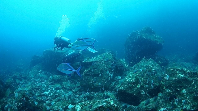 Buceo en El Morro