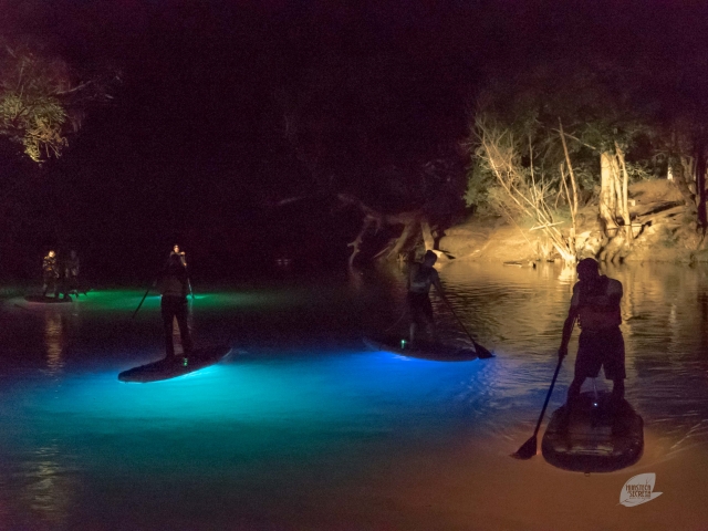 Stand Up Paddte nocturno 