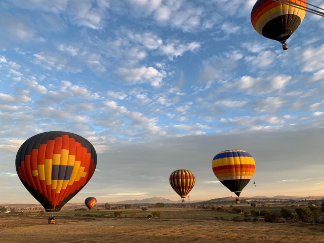 Emprendiendo el vuelo