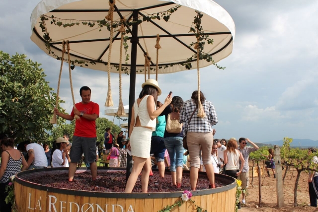 Producción de vino