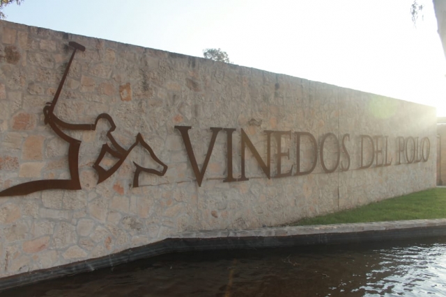Conociendo viñedos