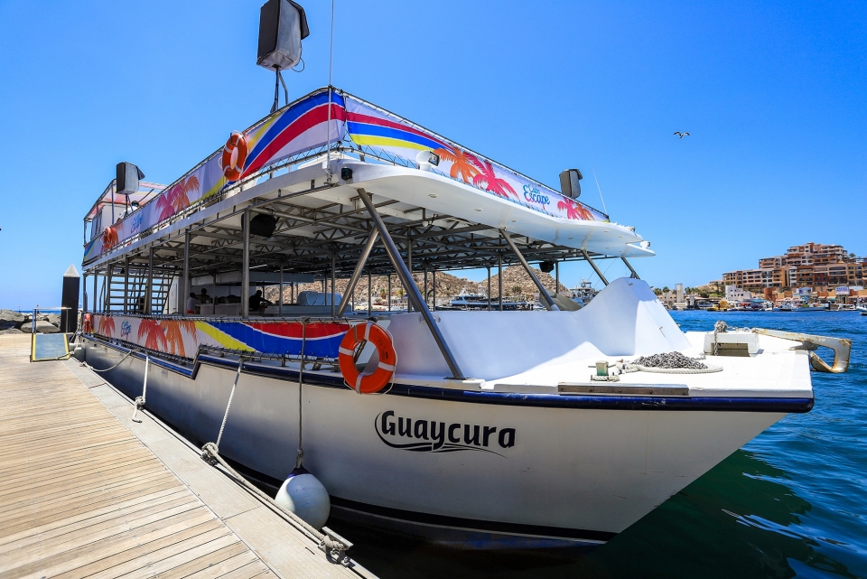 Catamarán para recorridos por la tarde Catamarán para recorridos por la tarde