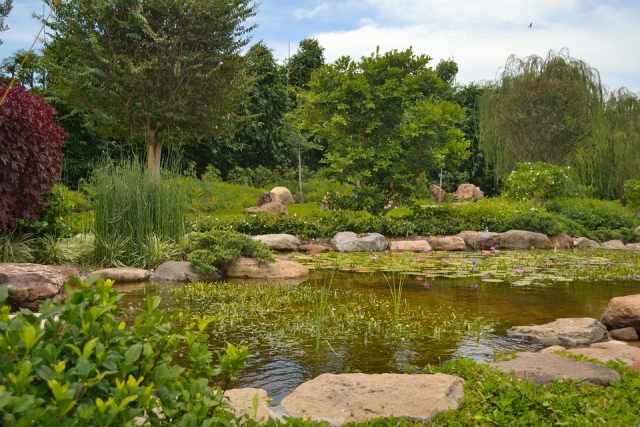 Paisaje en Jardines de México