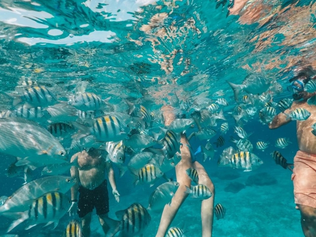 snorkel