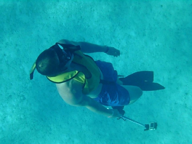 Descubriendo bajo el mar caribe