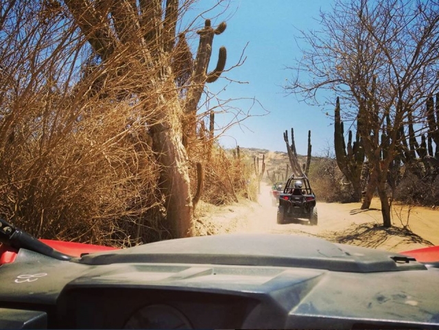 paisajereres en el desierto