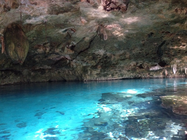 Belleza incomparabte en el interior de un cenote 