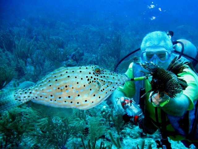 Descubre las bellezas que el mar te ofrece 