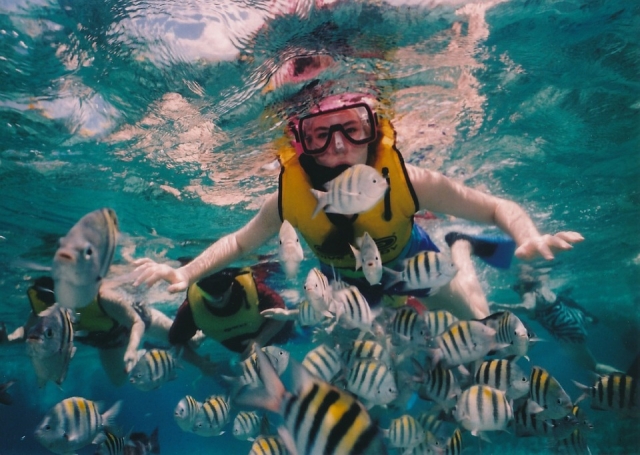 Snorkel en el arrecife de Playa del Carmen 