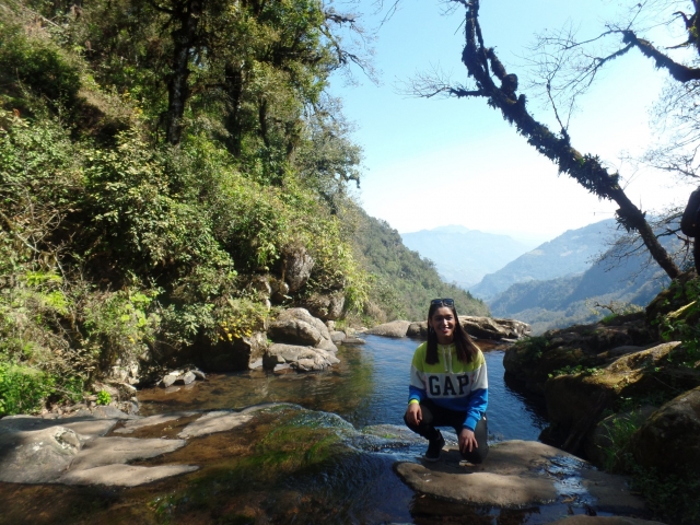 Bosque y ríos