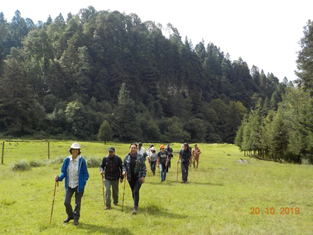 Camino a la cascada