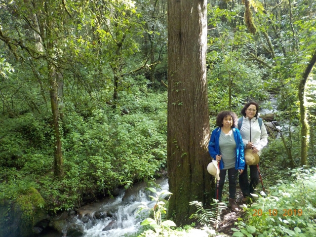 Paseando entre naturaleza