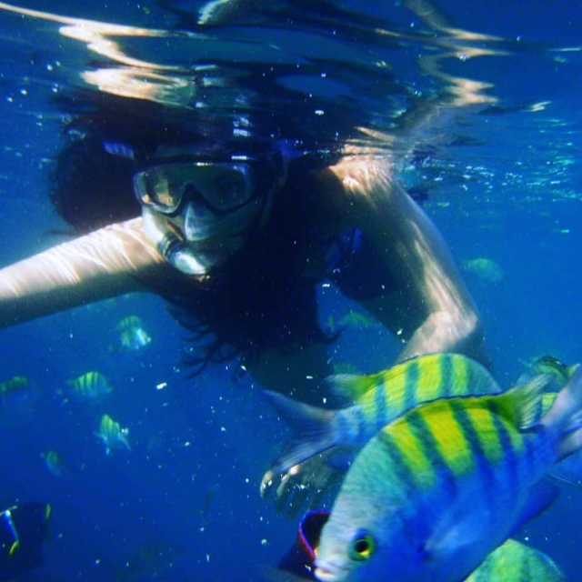 snorkel y peces
