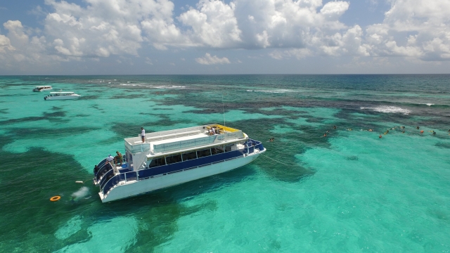 Visita guiada por las islas