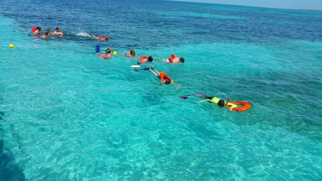 Snorkel en grupo