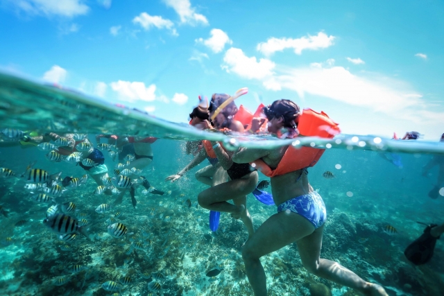 Experiencia con snorkel