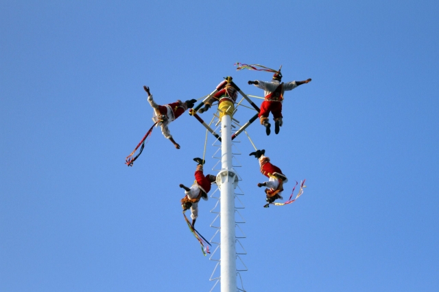 Voladoternera de papantla