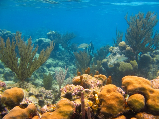 Descubre estos paisajes marinos 