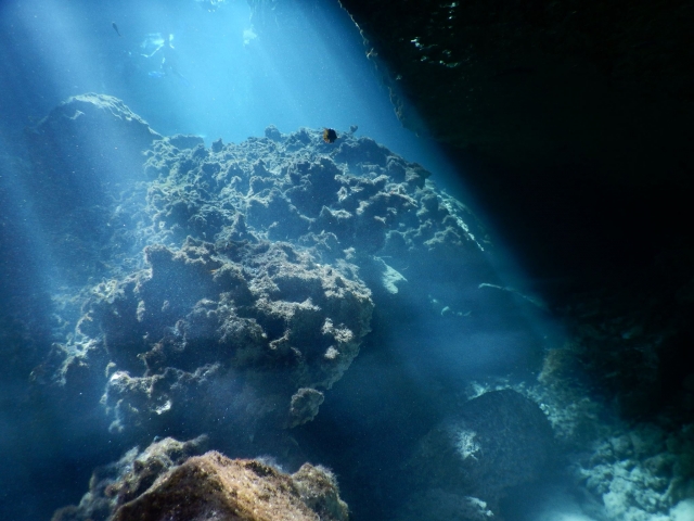 Entradas de luz en cenote