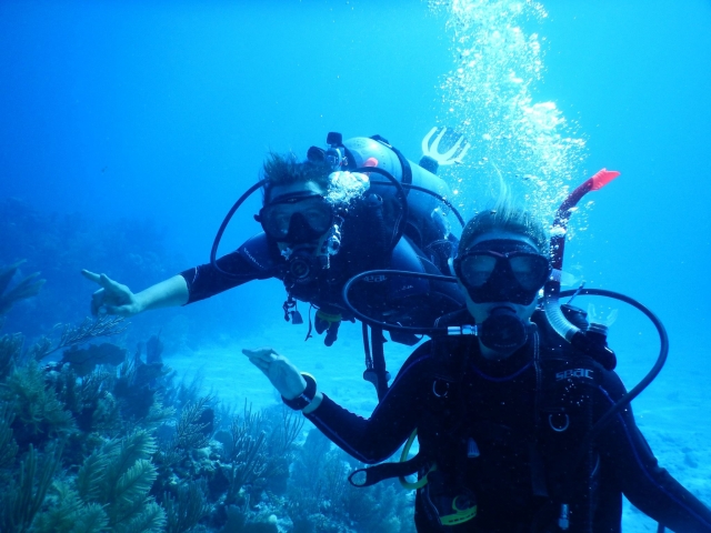 Visita guiada de buceo