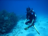Buceo en aguas abiertas en Tulum 3 horas