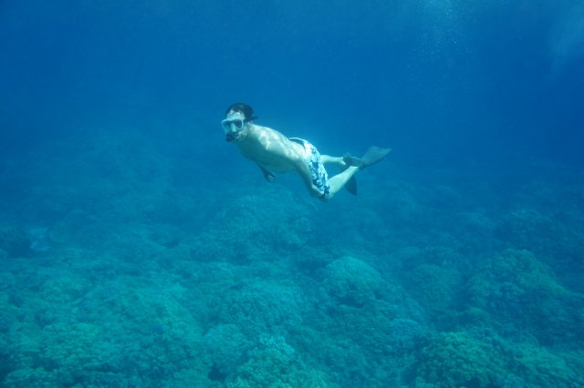 Expedición de snorkel en Los Arcos Puerto Vallarta