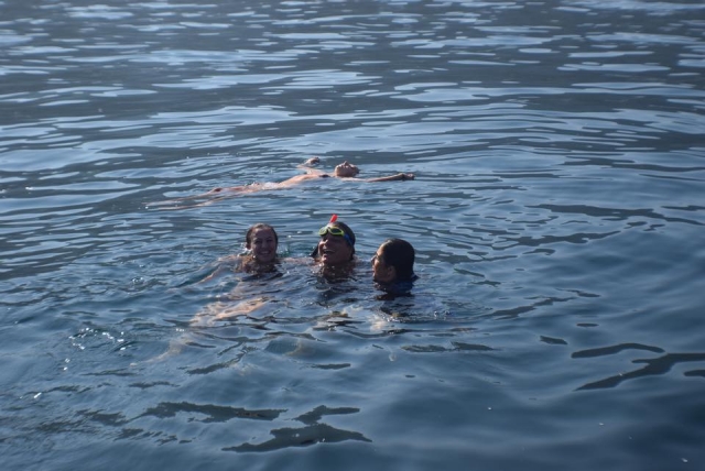Snorkel en grupo