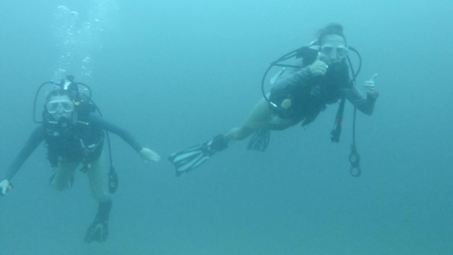 Disfrutando del buceo