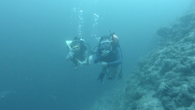 Buceo certificado