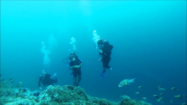 Experiencia de buceo