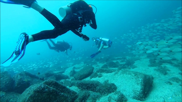 Nadando en la bahía