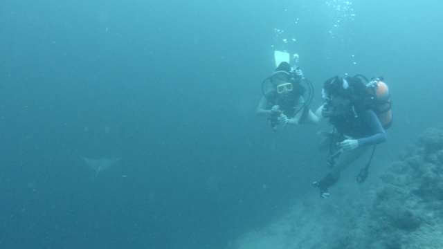 Disfrutando del buceo