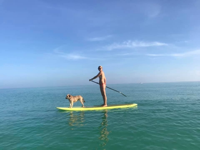 Actividad con mascotas