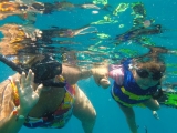 Experiencia de Snorkel en Playa del Carmen 3.5 hrs