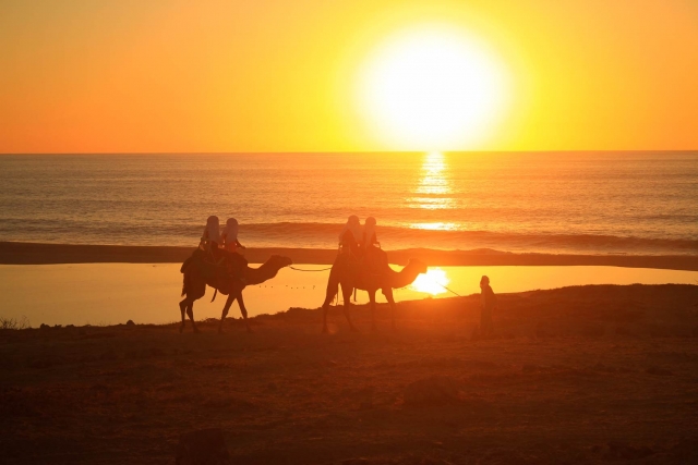 Disfruta del increíbte atardecer desde un Camello