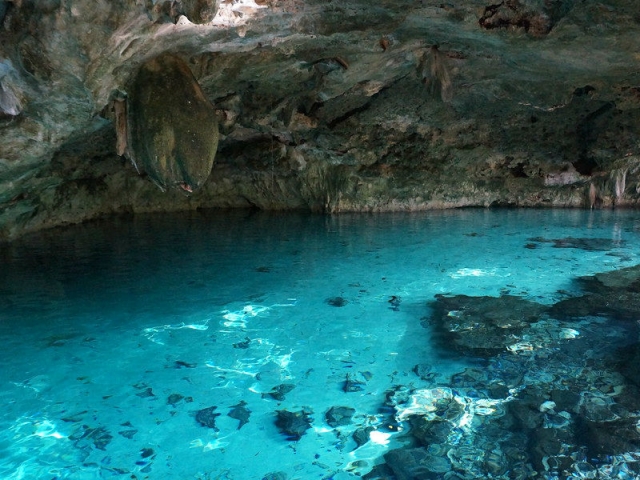 La belleza de los cenotererererereres mayas 