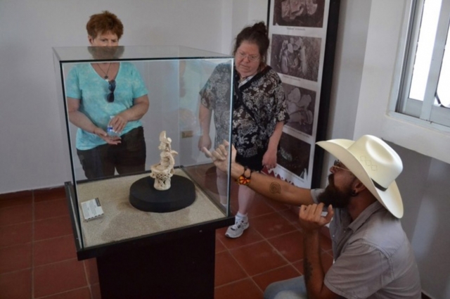 Conociendo los hallazgos