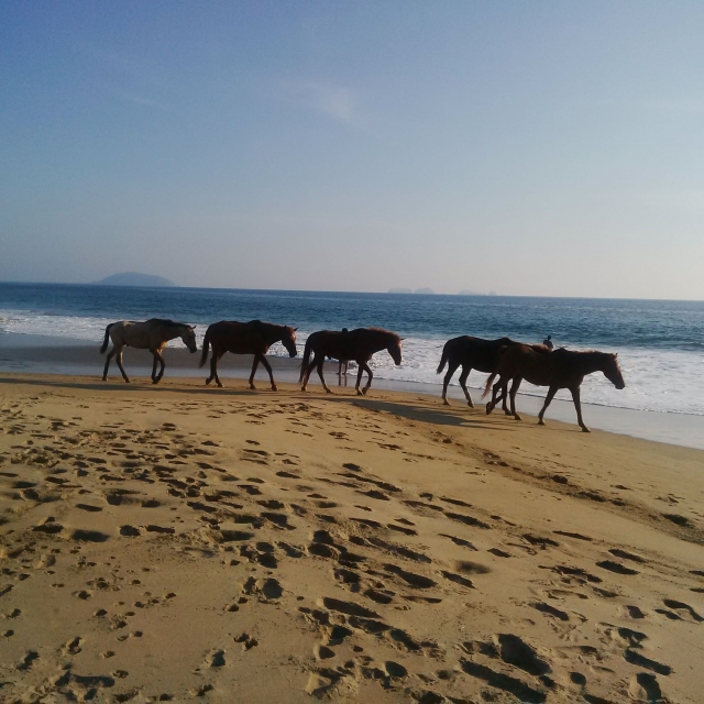 Caballos y playa