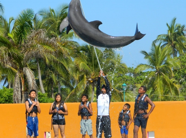 Acrobacias con delfines