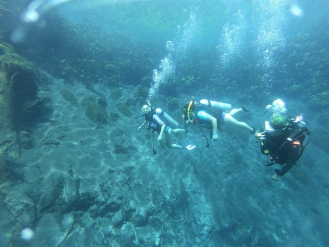 Conociendo un nuevo mundo bajo el agua 
