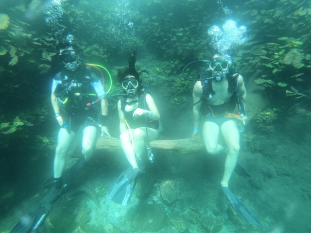 Aficionados al buceo