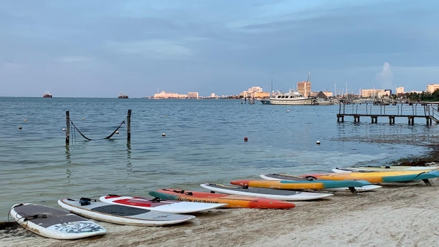 Tablas de SUP en la playa